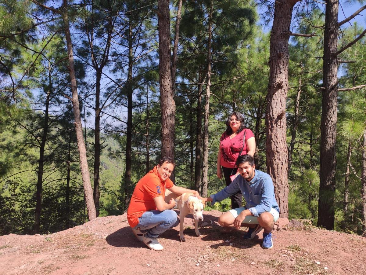 The Asgard Kasauli B&B 외부 사진
