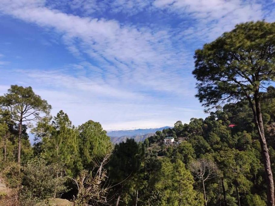 The Asgard Kasauli B&B 외부 사진