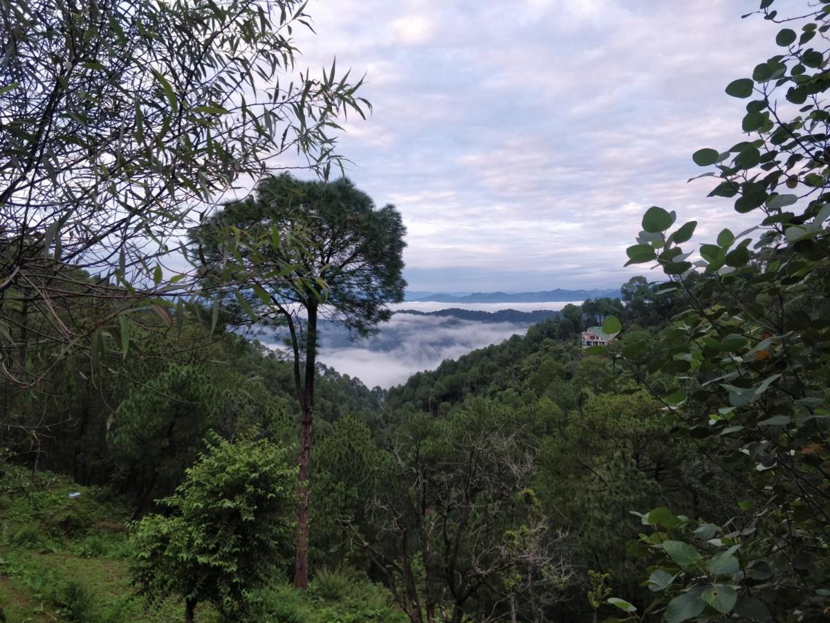 The Asgard Kasauli B&B 외부 사진