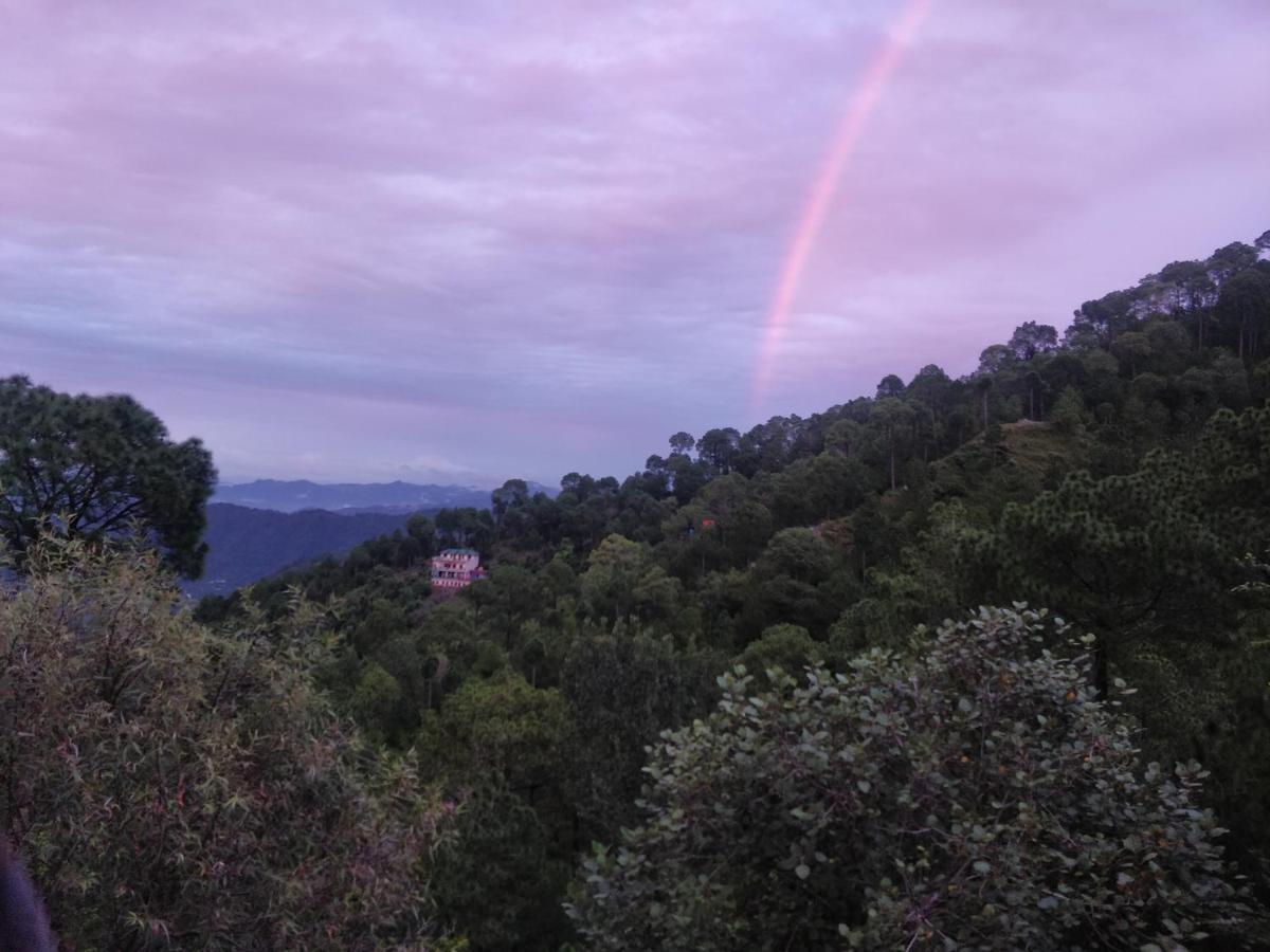 The Asgard Kasauli B&B 외부 사진