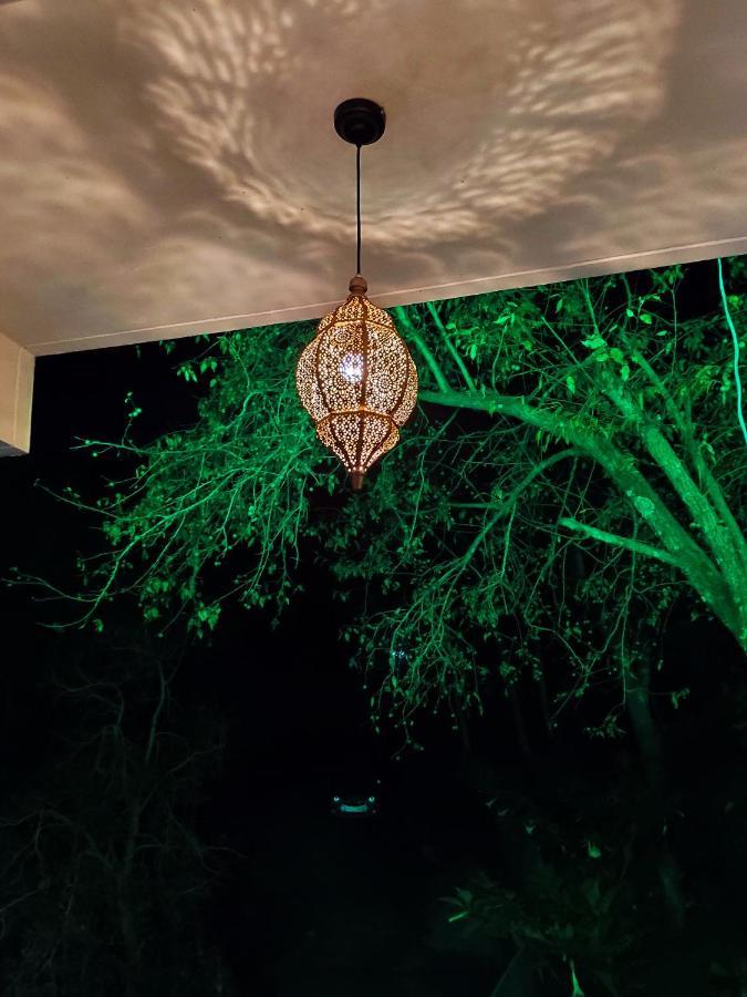The Asgard Kasauli B&B 외부 사진